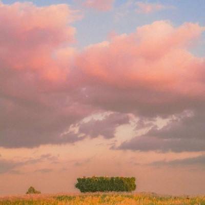 Bsports网页版登录